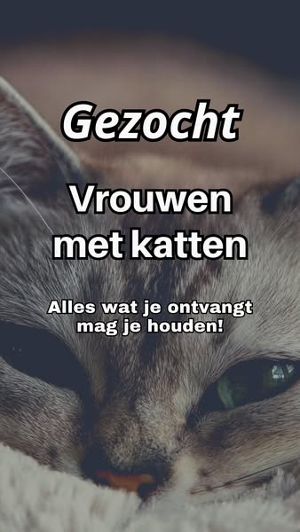 Gezocht: vrouwen met katten in België. Je mag alles houden wat je krijgt!